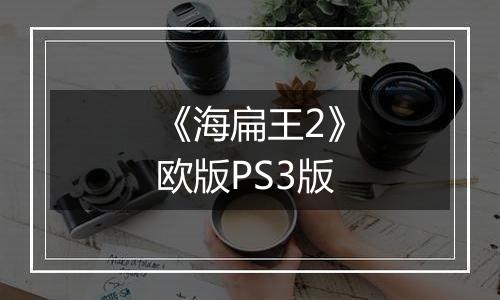 《海扁王2》欧版PS3版