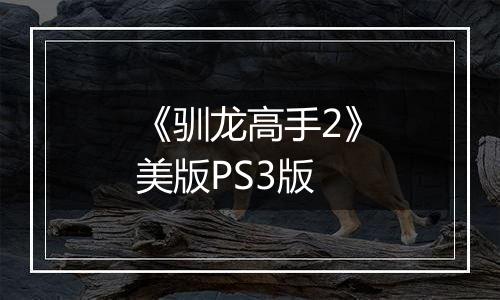 《驯龙高手2》美版PS3版