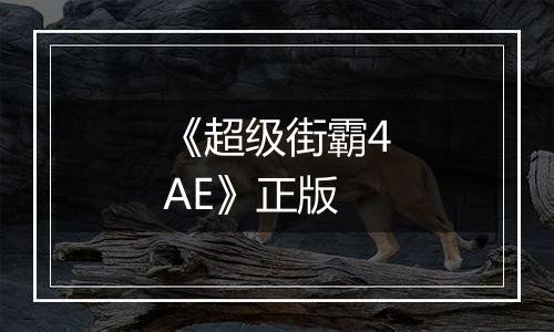 《超级街霸4AE》正版