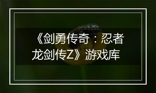 《剑勇传奇：忍者龙剑传Z》游戏库