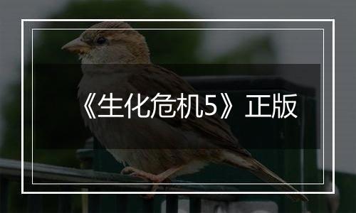 《生化危机5》正版