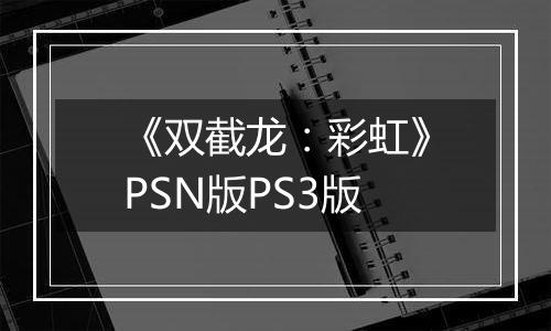 《双截龙：彩虹》PSN版PS3版