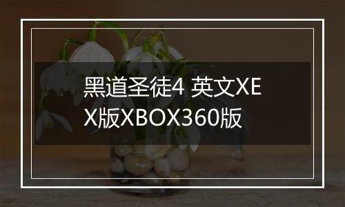 黑道圣徒4 英文XEX版XBOX360版