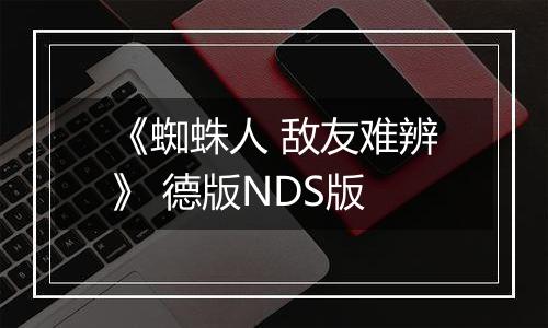 《蜘蛛人 敌友难辨》 德版NDS版
