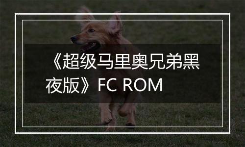 《超级马里奥兄弟黑夜版》FC ROM