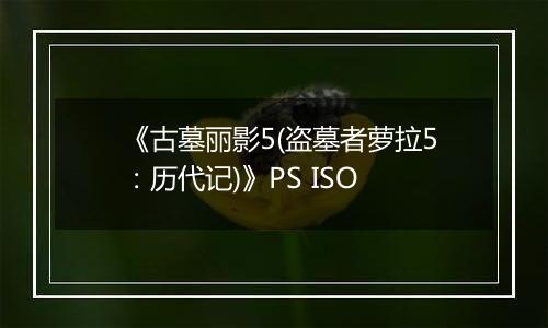 《古墓丽影5(盗墓者萝拉5：历代记)》PS ISO