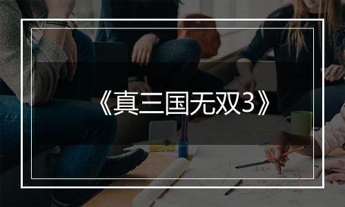 《真三国无双3》