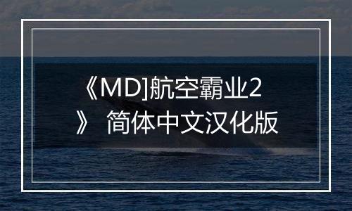 《MD]航空霸业2》 简体中文汉化版