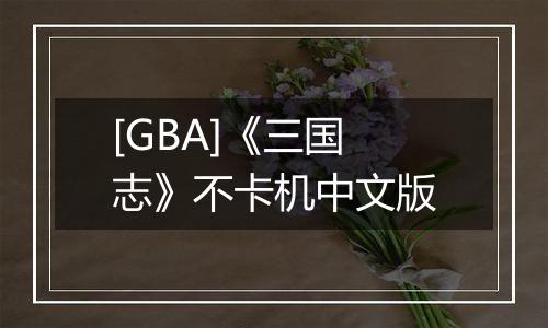 [GBA]《三国志》不卡机中文版