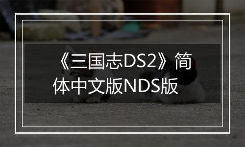 《三国志DS2》简体中文版NDS版