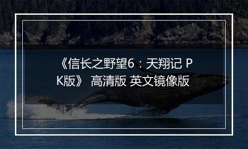 《信长之野望6：天翔记 PK版》 高清版 英文镜像版