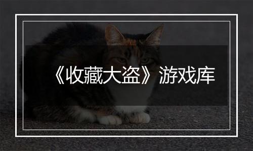 《收藏大盗》游戏库