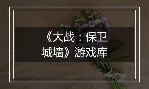 《大战：保卫城墙》游戏库