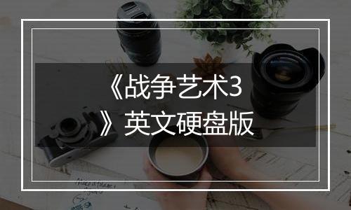 《战争艺术3》英文硬盘版