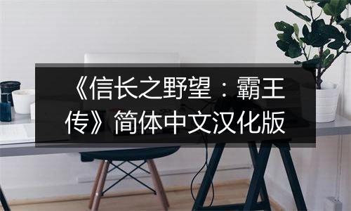 《信长之野望：霸王传》简体中文汉化版