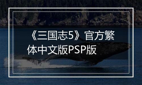 《三国志5》官方繁体中文版PSP版