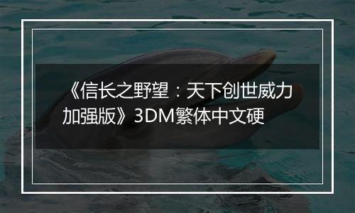 《信长之野望:天下创世威力加强版》3DM繁体中文硬