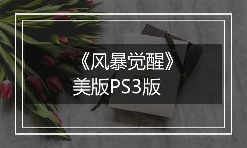《风暴觉醒》美版PS3版