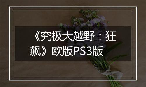 《究极大越野：狂飙》欧版PS3版