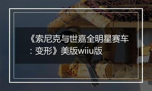《索尼克与世嘉全明星赛车：变形》美版wiiu版