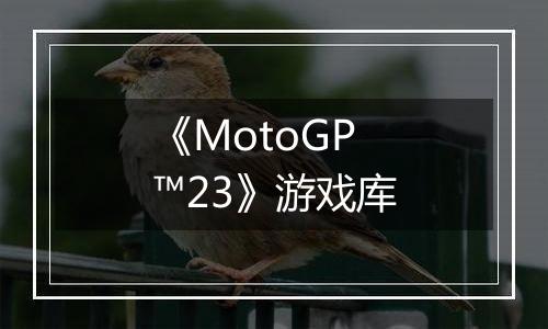 《MotoGP™23》游戏库