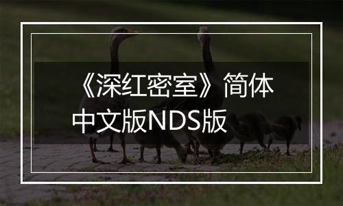《深红密室》简体中文版NDS版