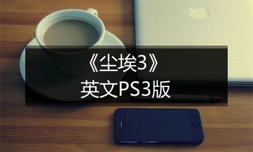 《尘埃3》 英文PS3版