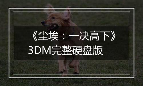 《尘埃:一决高下》3DM完整硬盘版