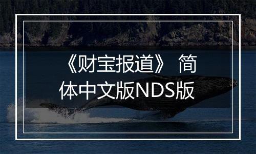 《财宝报道》 简体中文版NDS版