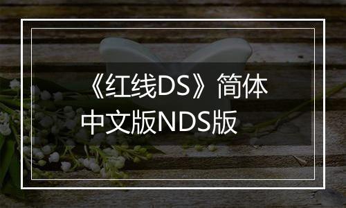 《红线DS》简体中文版NDS版
