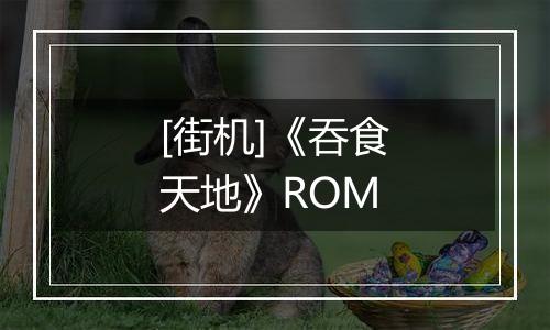 [街机]《吞食天地》ROM