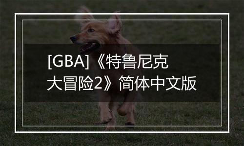 [GBA]《特鲁尼克大冒险2》简体中文版
