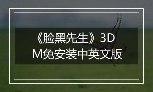《脸黑先生》3DM免安装中英文版