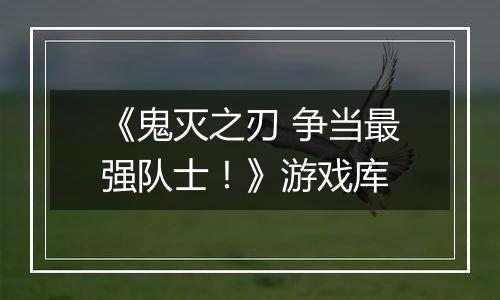 《鬼灭之刃 争当最强队士!》游戏库
