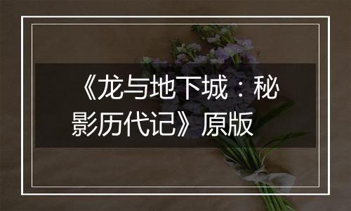 《龙与地下城：秘影历代记》原版