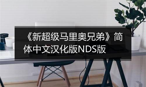 《新超级马里奥兄弟》简体中文汉化版NDS版