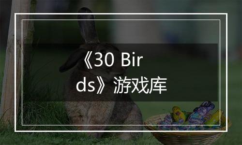 《30 Birds》游戏库