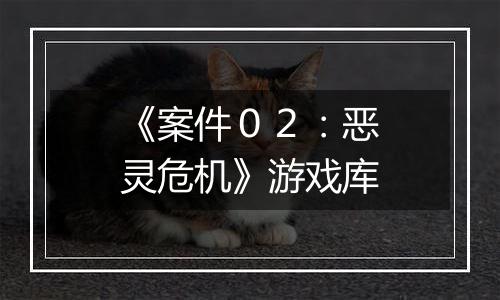 《案件０２：恶灵危机》游戏库