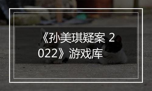 《孙美琪疑案 2022》游戏库
