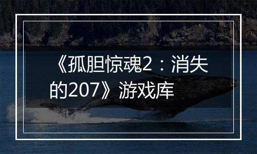 《孤胆惊魂2：消失的207》游戏库
