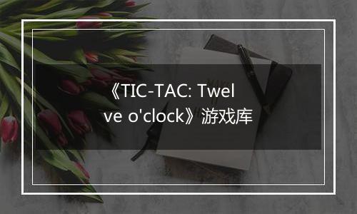 《TIC-TAC: Twelve o'clock》游戏库