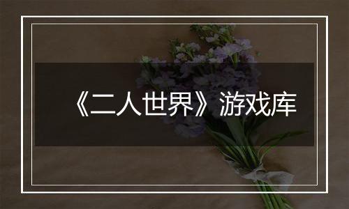《二人世界》游戏库