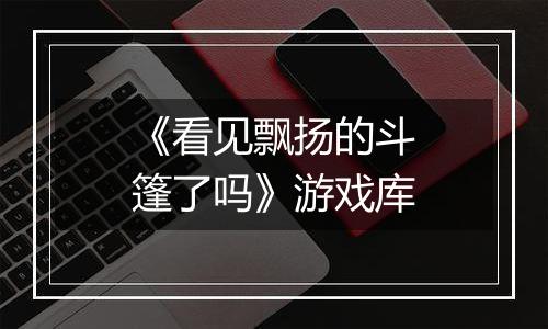 《看见飘扬的斗篷了吗》游戏库