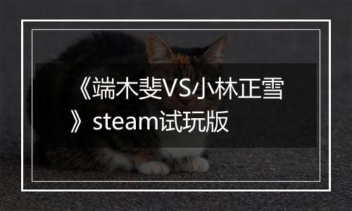 《端木斐VS小林正雪》steam试玩版