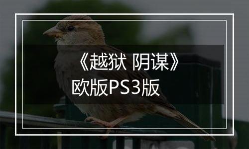 《越狱 阴谋》欧版PS3版