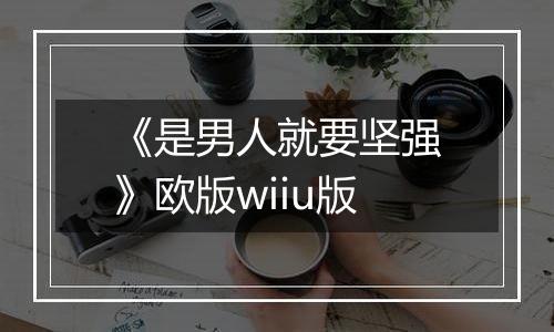 《是男人就要坚强》欧版wiiu版
