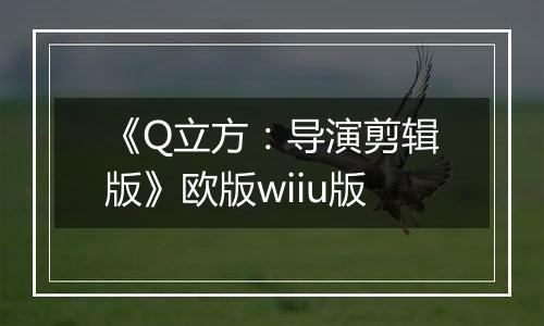 《Q立方：导演剪辑版》欧版wiiu版