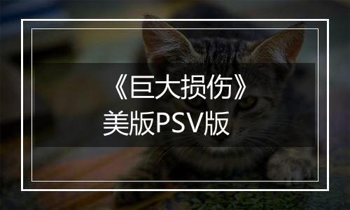《巨大损伤》美版PSV版