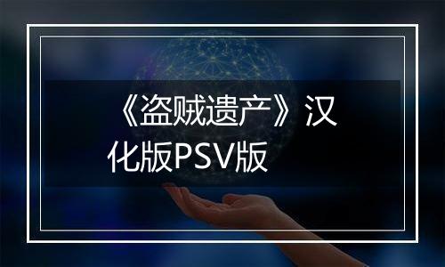 《盗贼遗产》汉化版PSV版