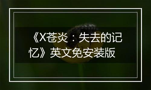 《X苍炎：失去的记忆》英文免安装版